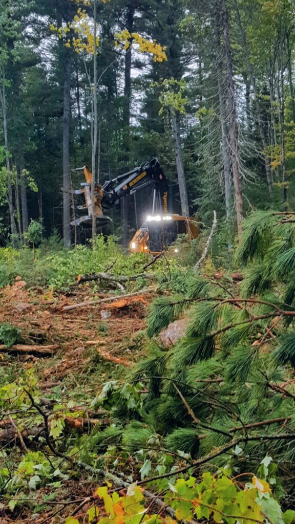 tracked feller buncher